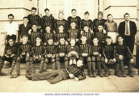 Wildcat