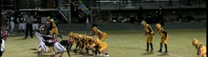 Wildcats